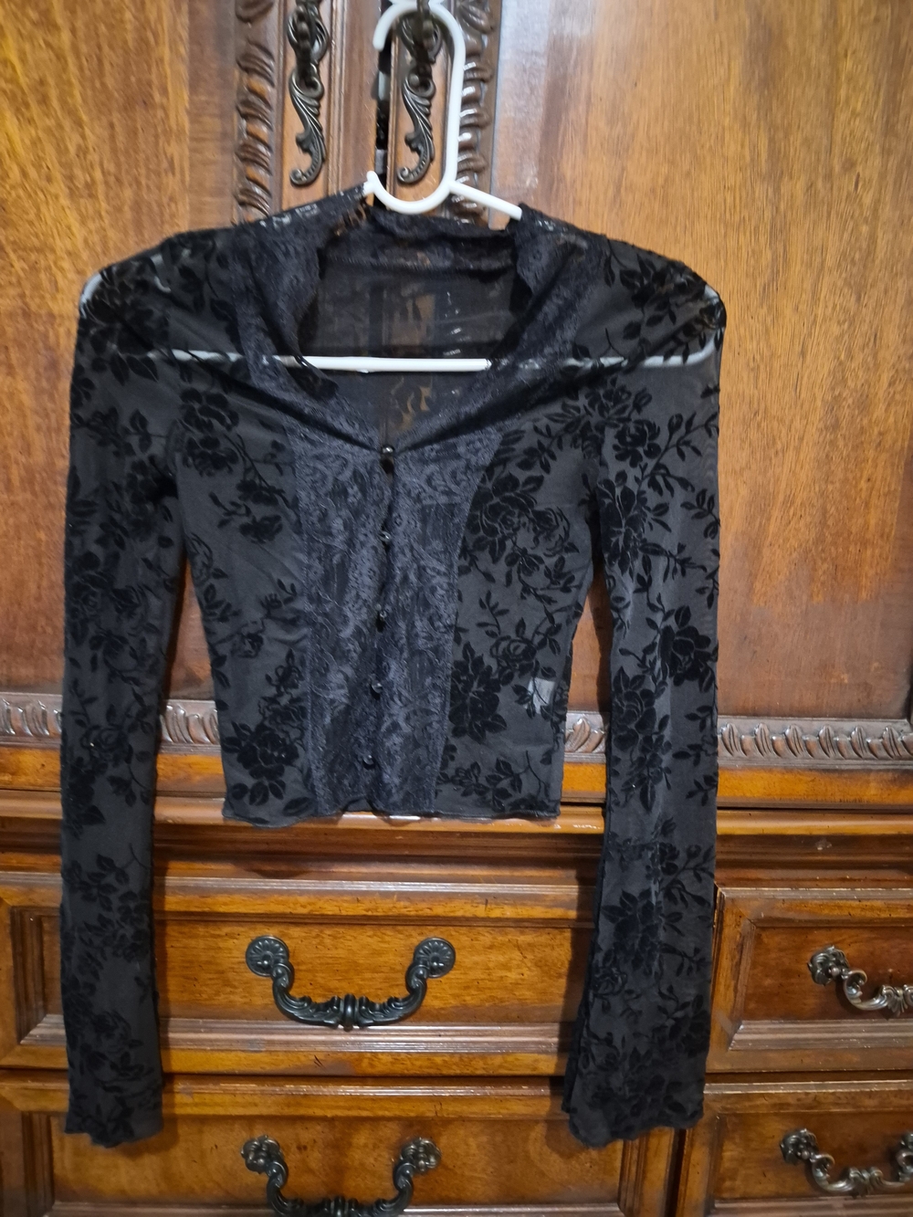 Black Floral Velvet Burnout Sheer Button-Front Top